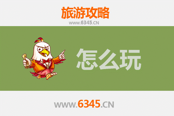 节假日上海普陀旅游全攻略：禅意漫步与都市休闲完美融合