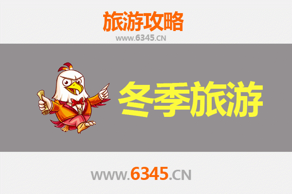 上海普陀冬季旅游攻略：禅意与都市风情的完美交融